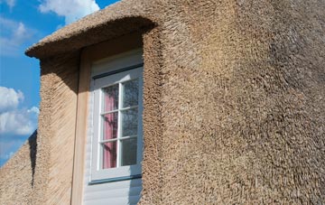 Upper Bracky thatch roof disadvantages